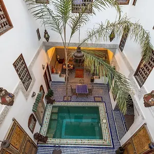 le-cedre-dargent.hotelfesmorocco.com/